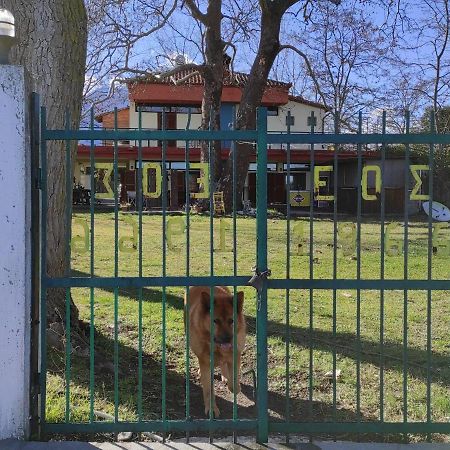 Summit Zero Hostel Πλάκα Λιτόχωρου Εξωτερικό φωτογραφία