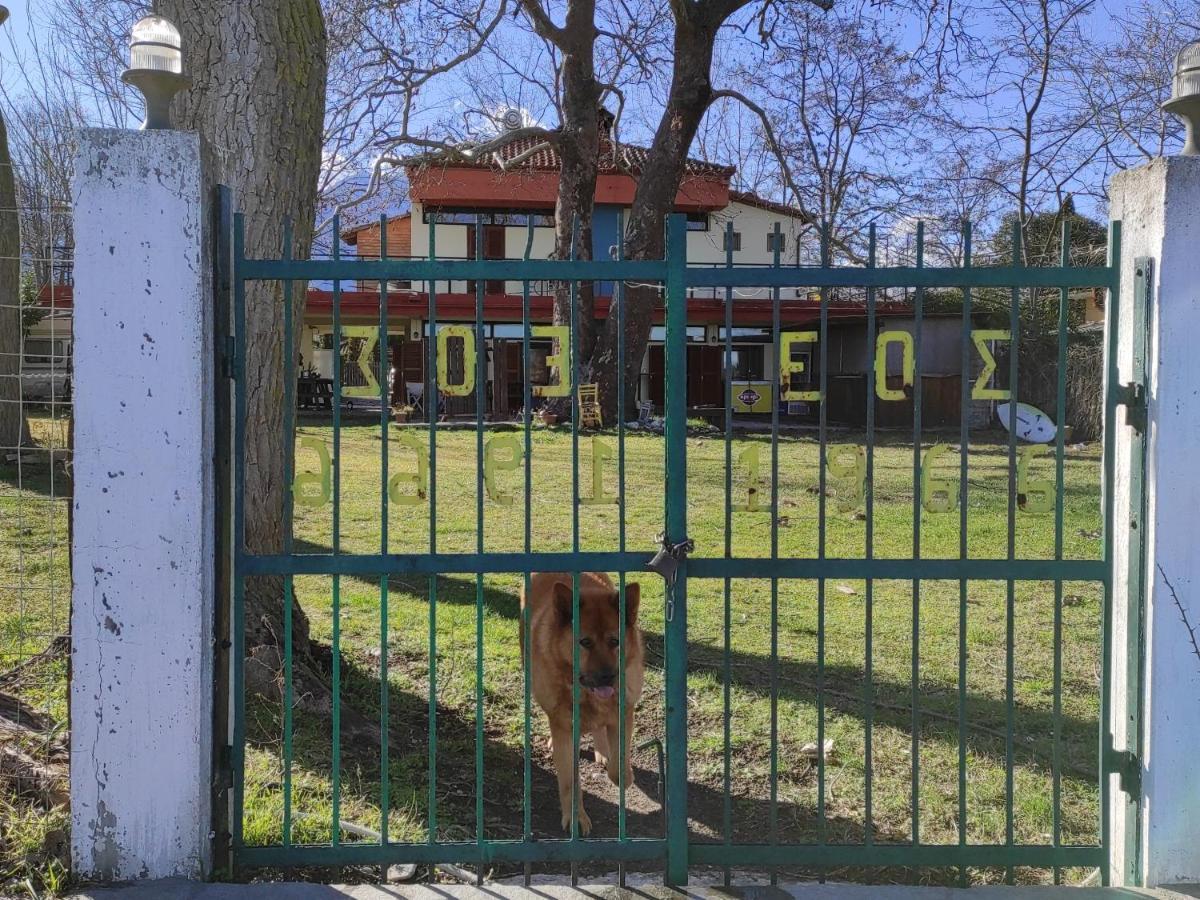 Summit Zero Hostel Πλάκα Λιτόχωρου Εξωτερικό φωτογραφία